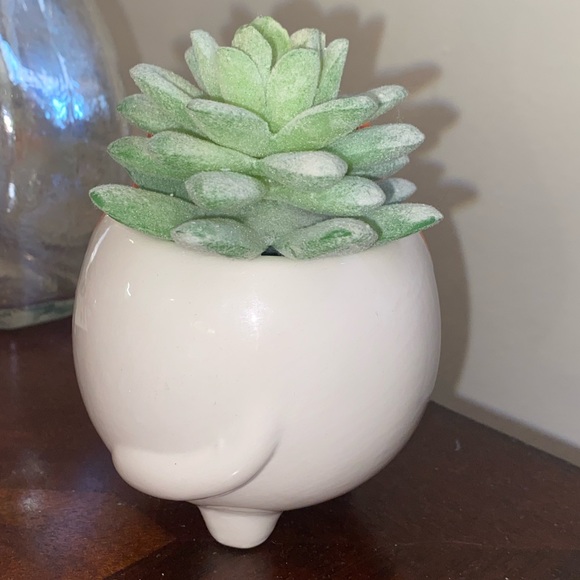 Faux/Fake Fox Succulent Home Decor - Picture 6 of 7